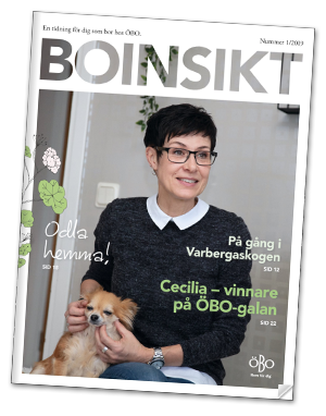 Boinsikt framsida 2019 Nr 1