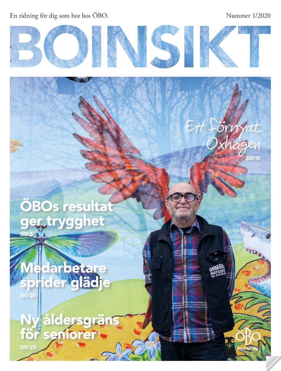 Boinsikt