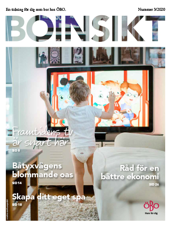 Omslag Boinsikt