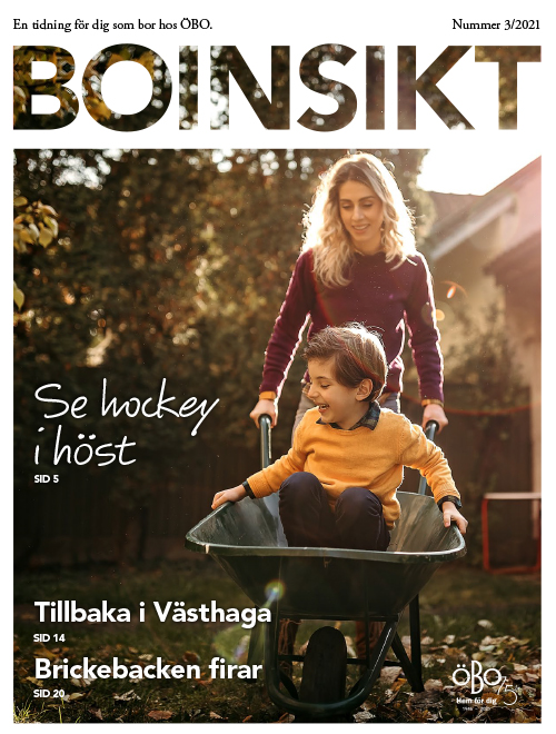 Omslag Boinsikt 3_2021