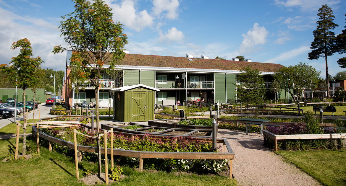 Grön gård på Visgatan