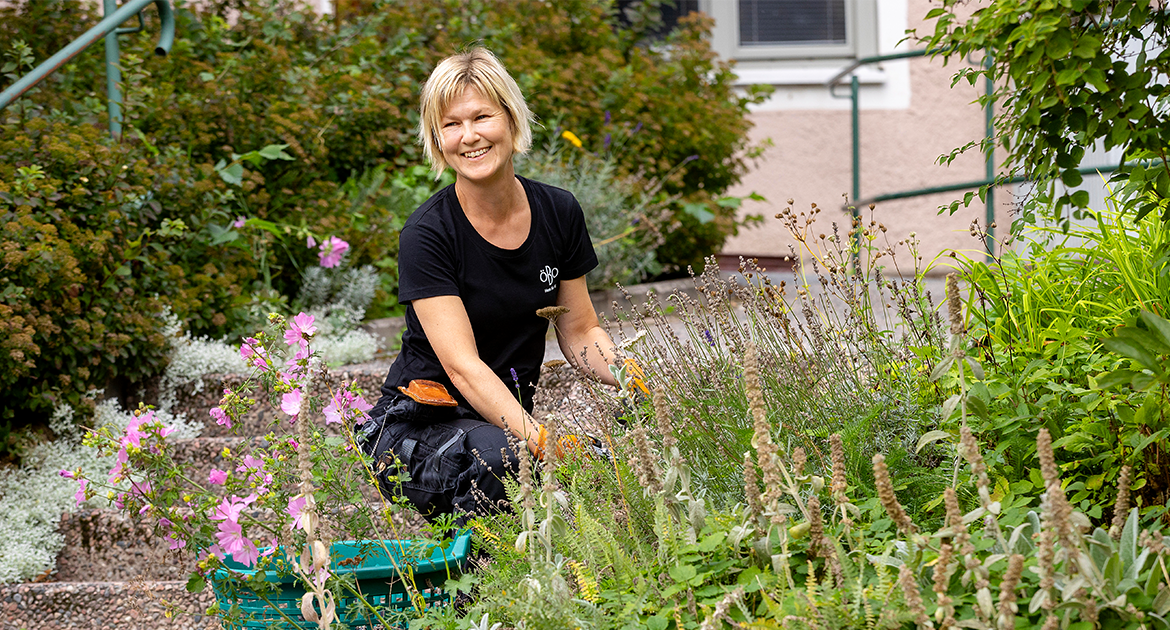 Sandra Gidmo rensar rabatt