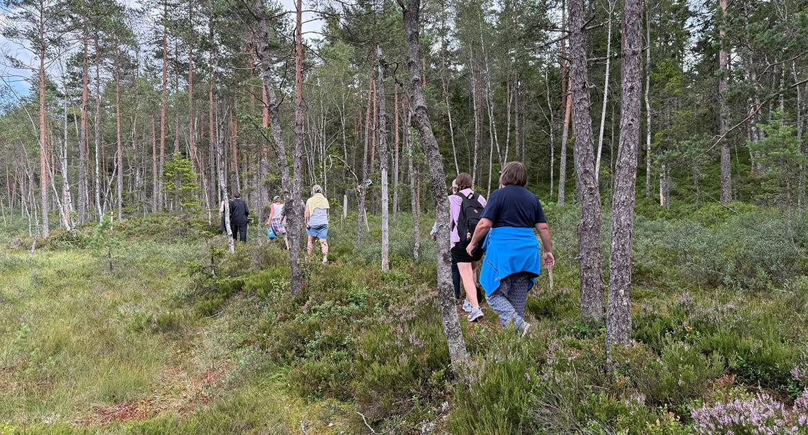 Människor som vandrar på en stig i skogen.