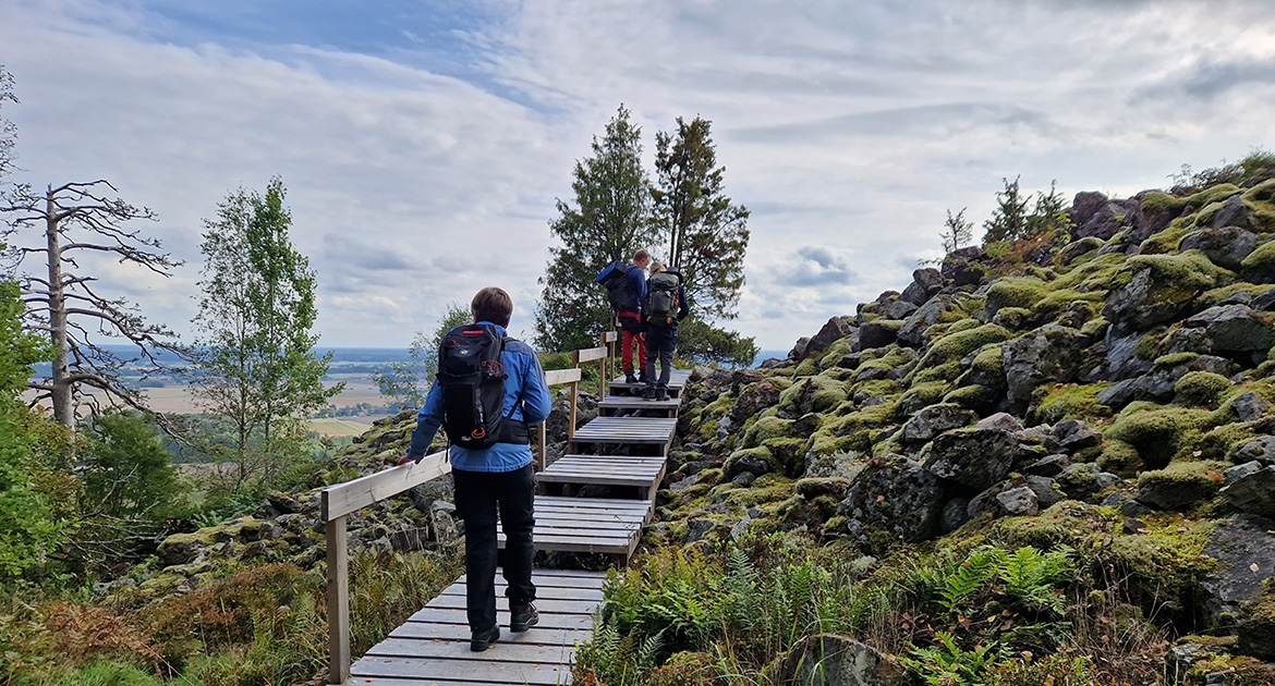 Vandring mot Ullavi klint, över träspång