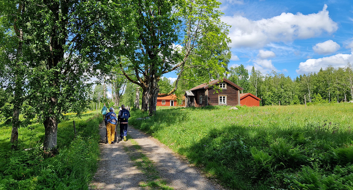 Gårdsjötorp i Kilsbergen