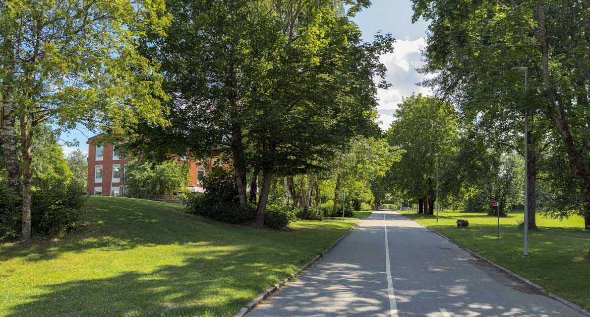 Gång- och cykelväg med träd längs vägen i Varberga.