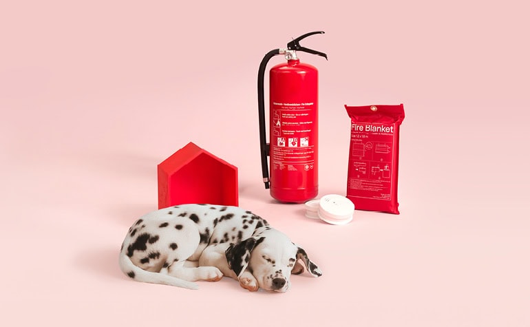 Sovande hundvalp tillsammans med brandsläckare, brandfilt, brandvarnare och ett modellhus. Bild från Brandskyddsföreningen.