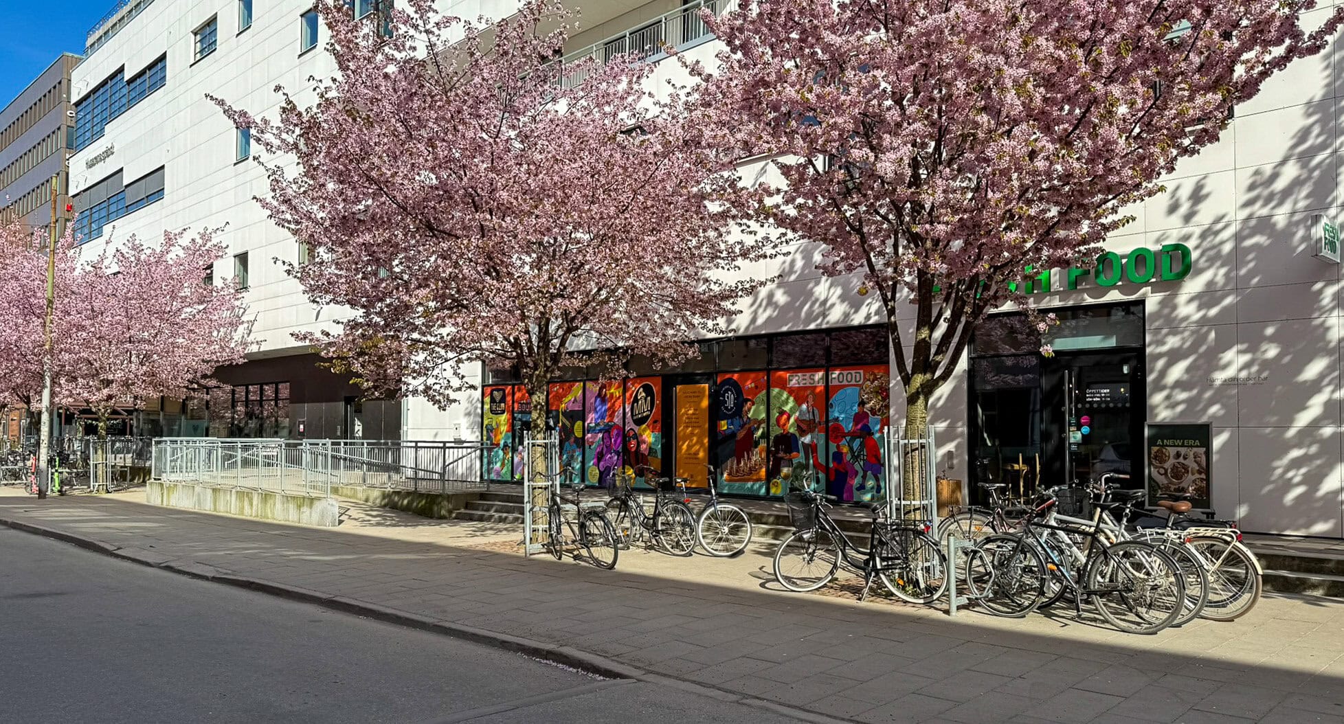 Närbild av blommande rosa träd utanför moderna bostadshus och butikslokaler. Flera cyklar står parkerade längs gatan i starkt solljus.