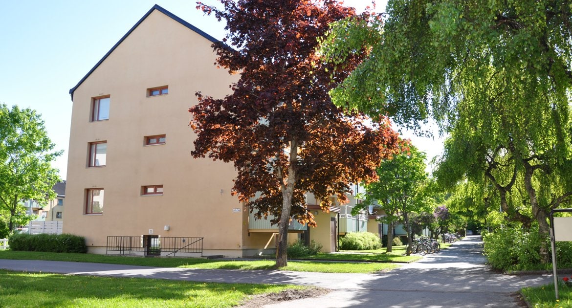 Drakenbergsgatan, Tybble, i sommargrönska