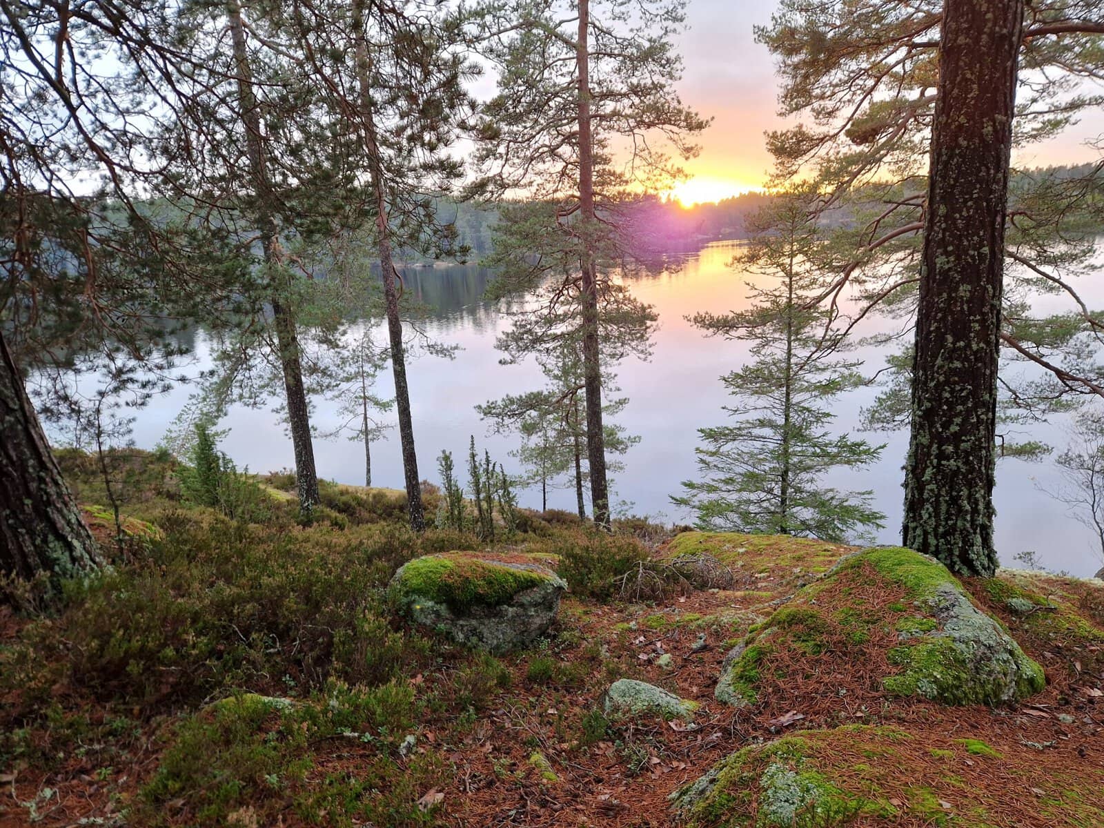Utsikt över vattnet i Fuxbouddens naturreservat