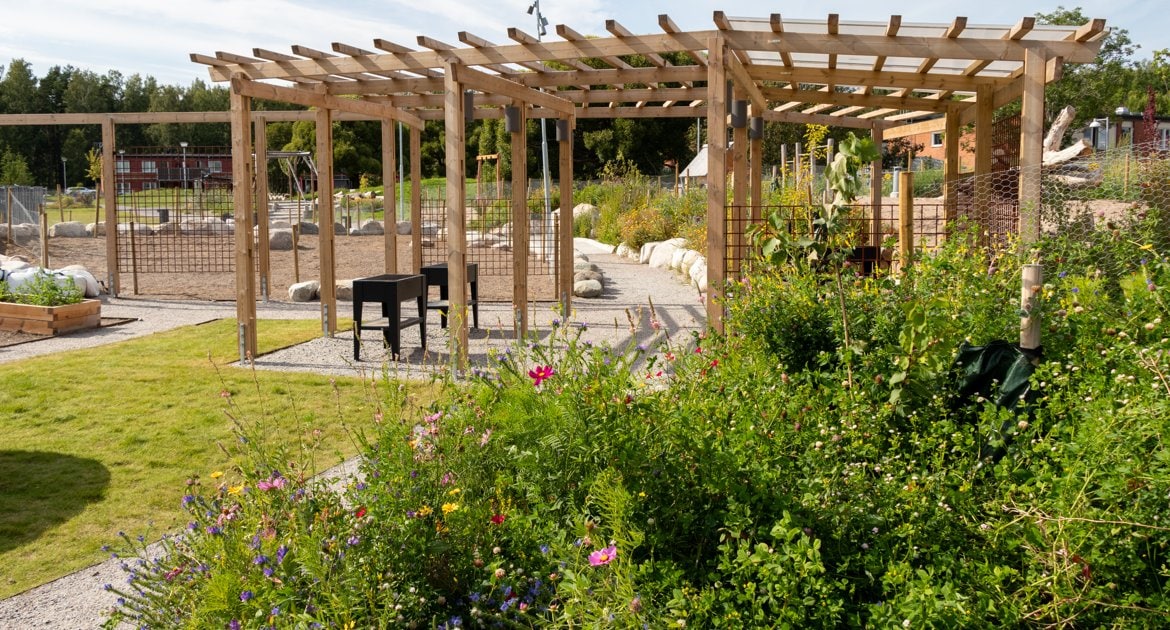 Park med ängsblommor och grillplats i pergola.